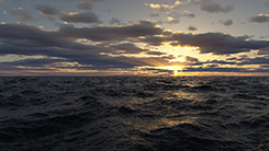 Ocean
